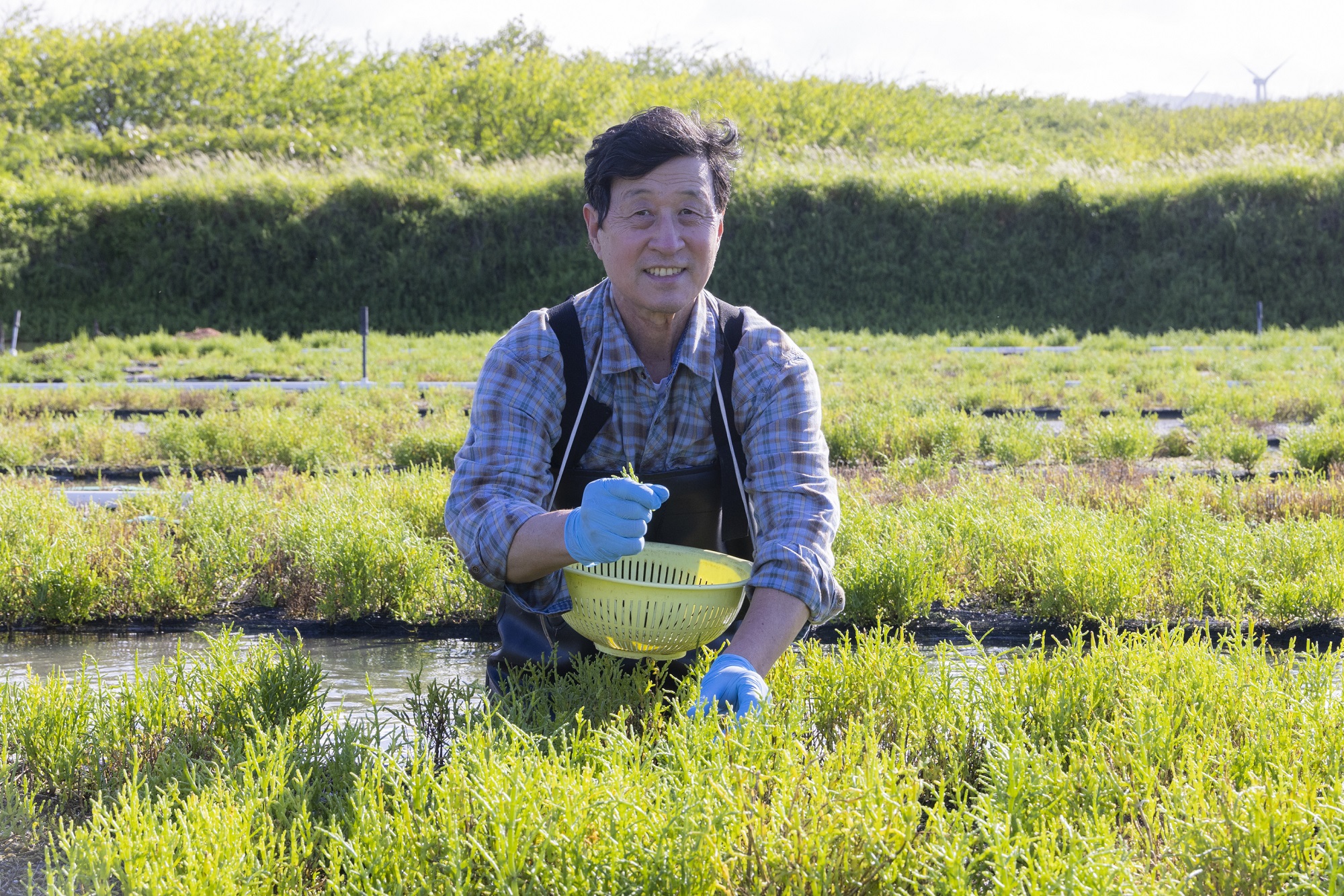 Sustainable Initiatives at Orakai