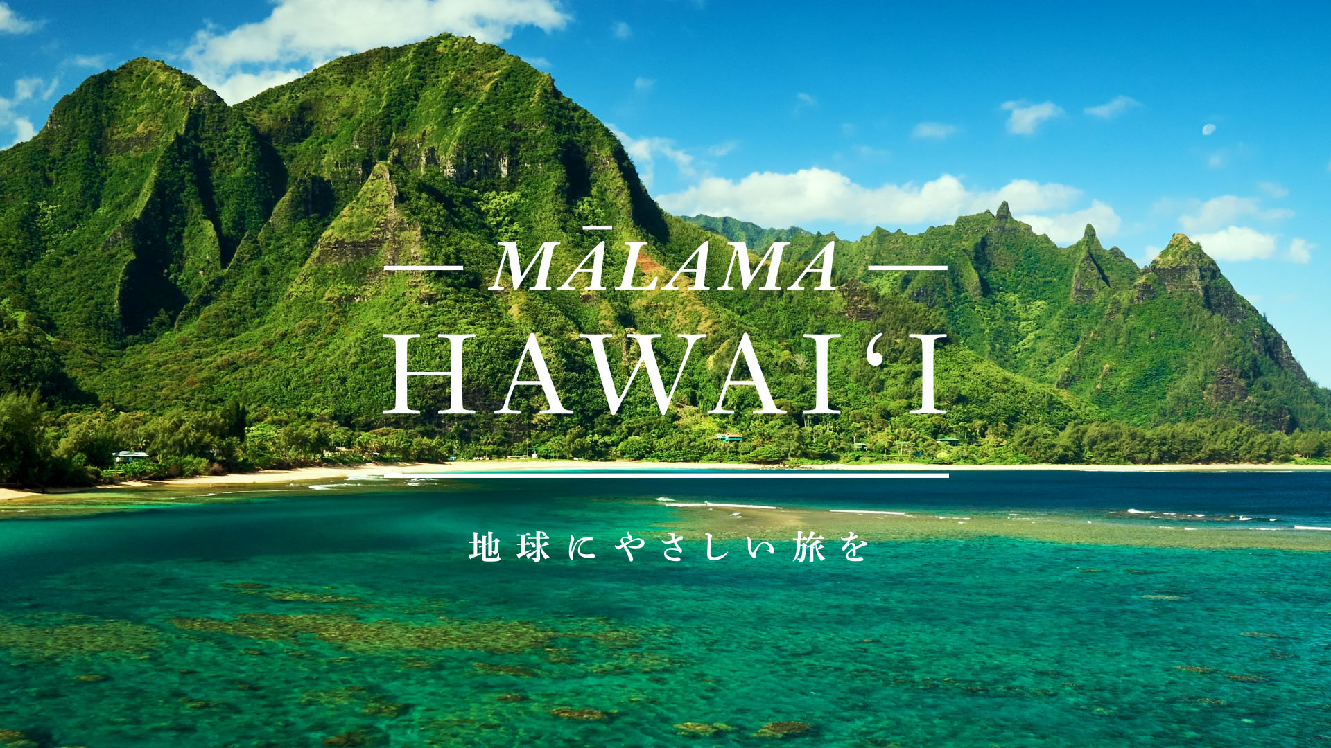 Hawaii Tourism Board